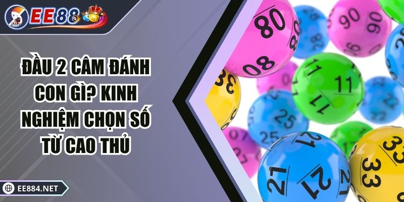 đầu 2 câm đánh con gì