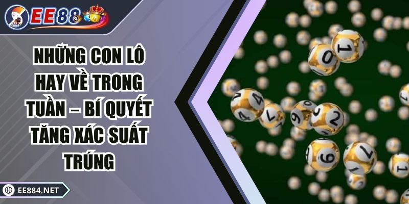 những con lô hay về trong tuần