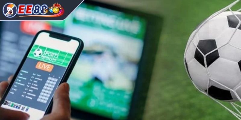 Nhận diện các kèo bẫy 